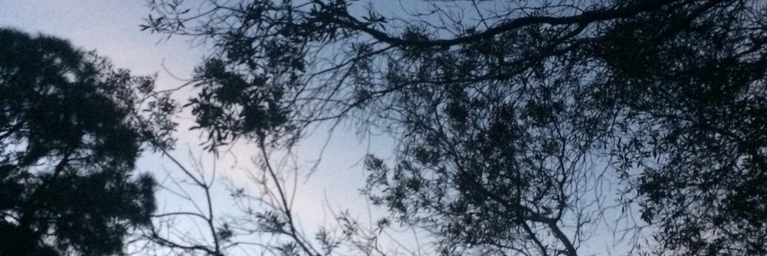 tyler_singler's profile banner image
