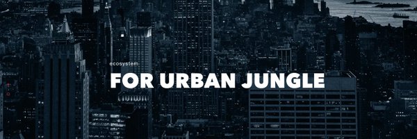 CosantaNet Profile Banner