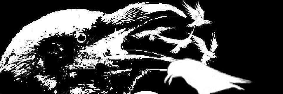 DjCrowtrejo's profile banner image