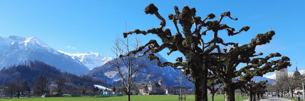 iamshashwatk Profile Banner