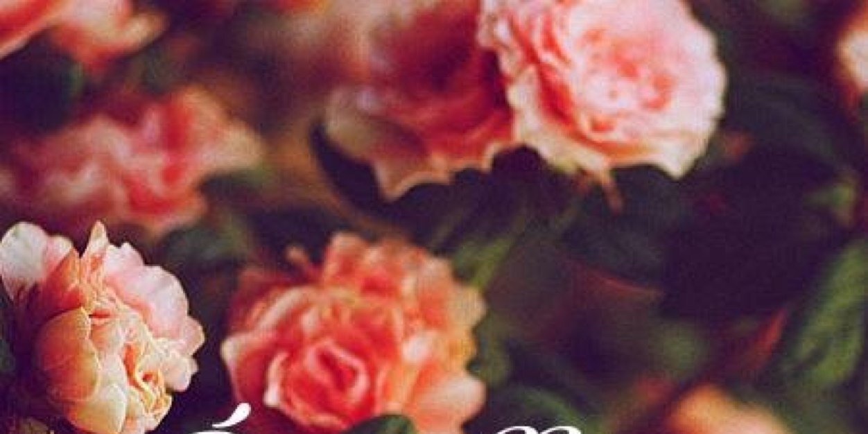 LaetitiaFix's profile banner image