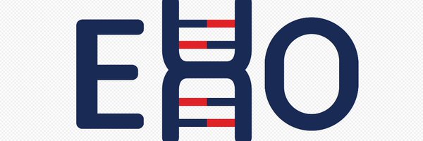 EHO_Bret Profile Banner