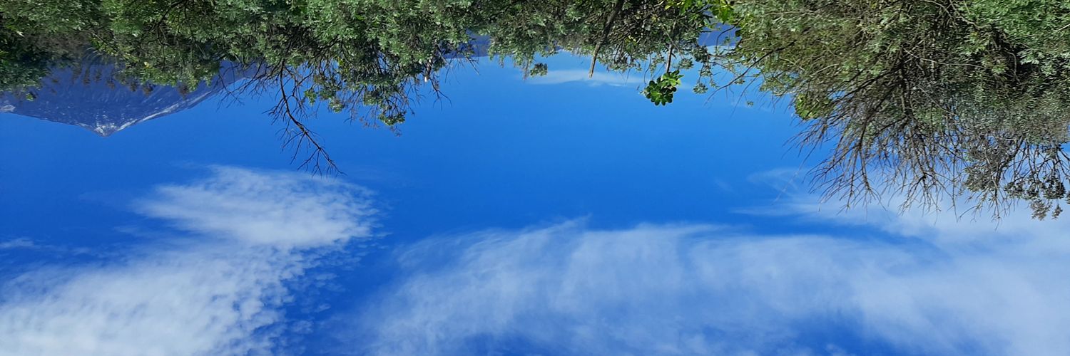 evelyshus's profile banner image