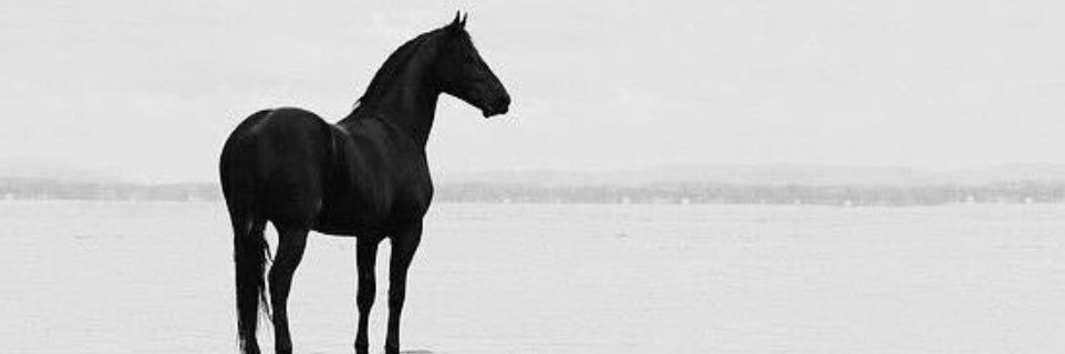 GhaidaZ6's profile banner image