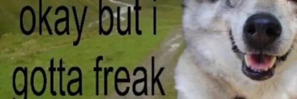 LiamQuantum Profile Banner