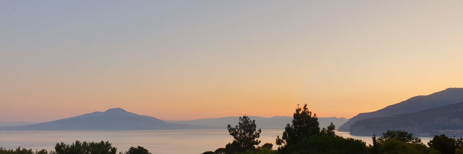 WGC_Tweet's profile banner image