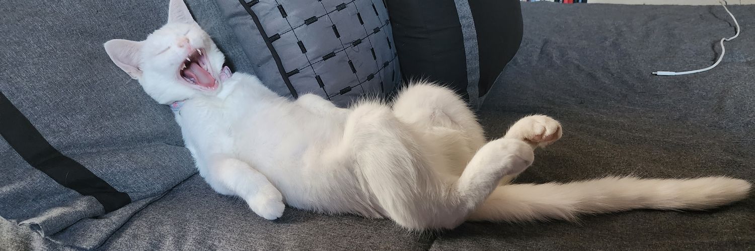 Belle (They/Them) banner