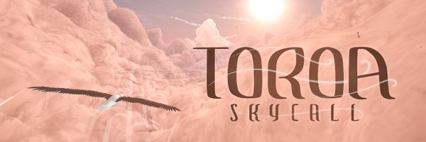 toroagame Profile Banner