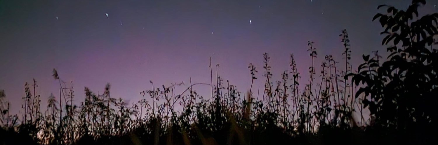 HelenLGateley's profile banner image