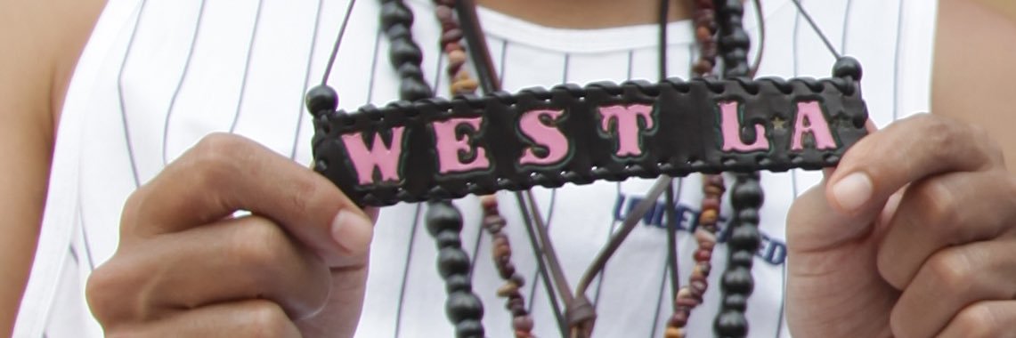 sutterhouse_swish banner