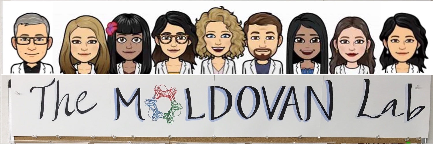 Moldovan Lab banner