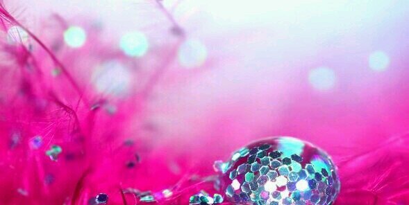 DesaiHailey's profile banner image