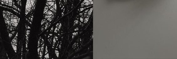 denp's profile banner image