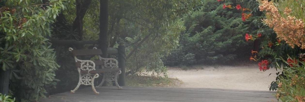moniquis1's profile banner image