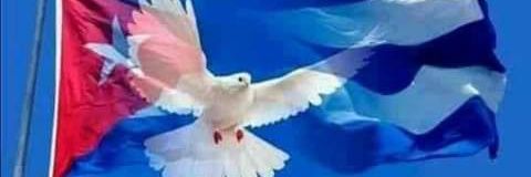 Kathy95381884's profile banner image