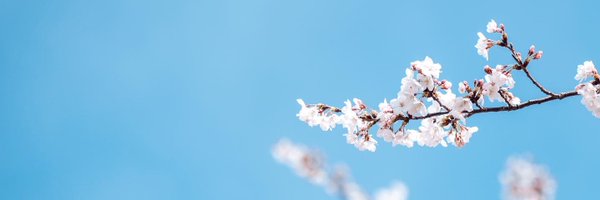 _hanoka Profile Banner