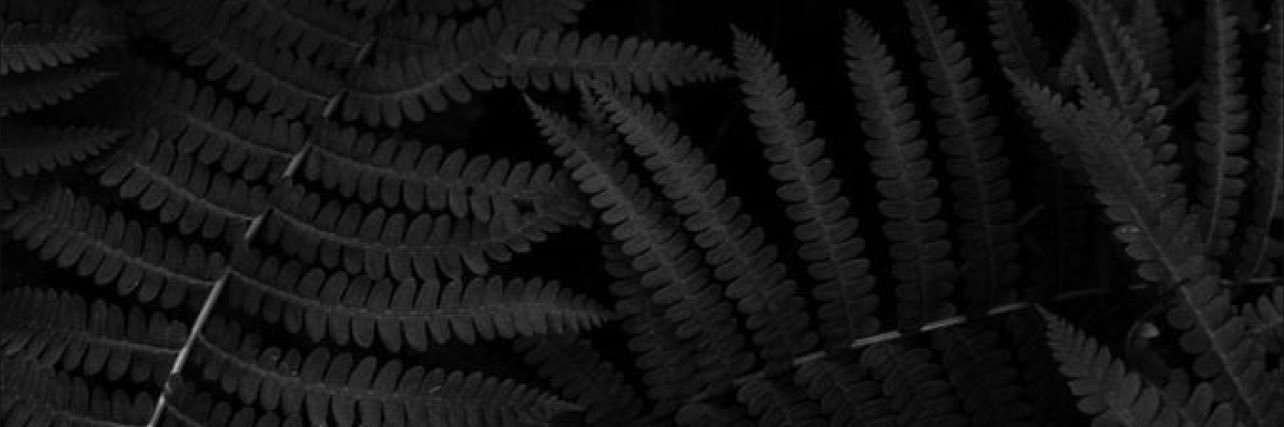 _simplymiko's profile banner image