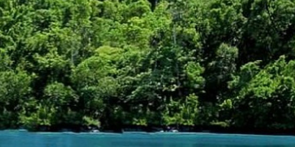 freire893's profile banner image
