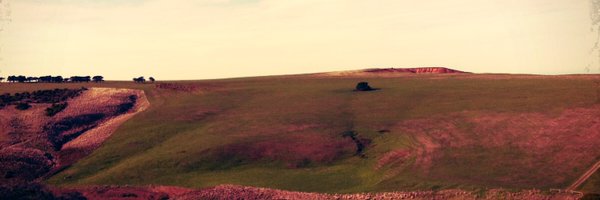 joanneLuke4 Profile Banner