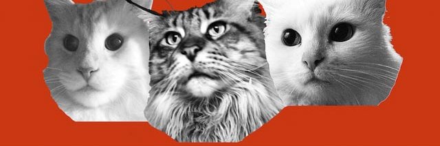 Rick Spencer II banner