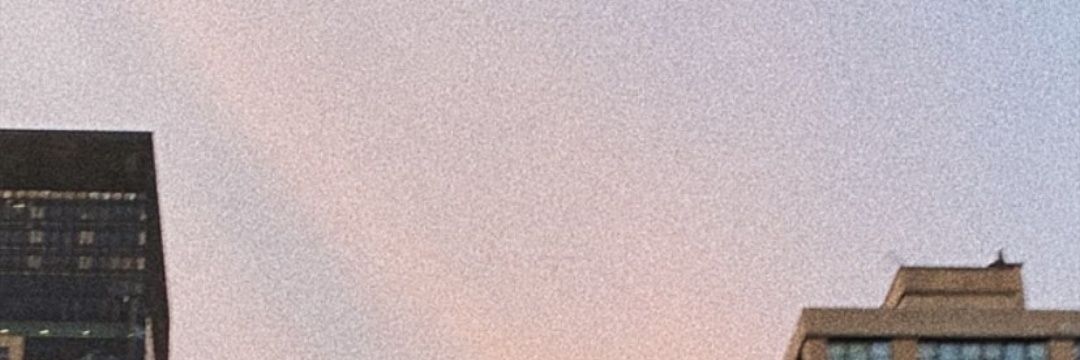 MariinaPinardo's profile banner image