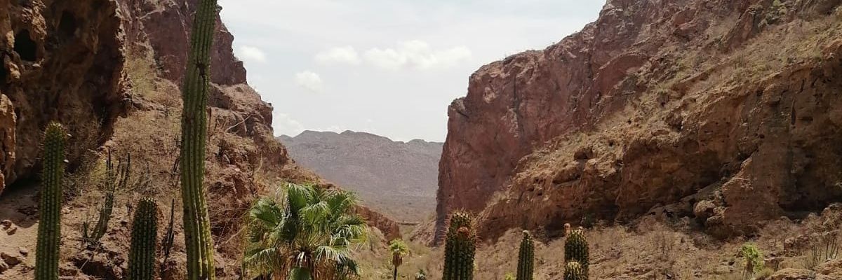 peerlabenitez's profile banner image