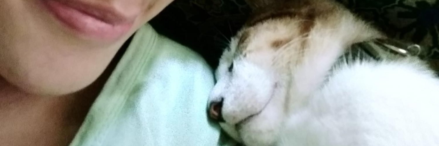 ZyrylyryZ's profile banner image