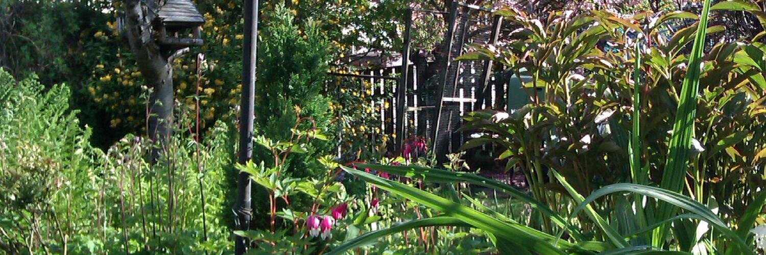 EmilySymons's profile banner image