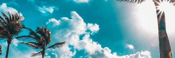 LoreCicalini's profile banner image