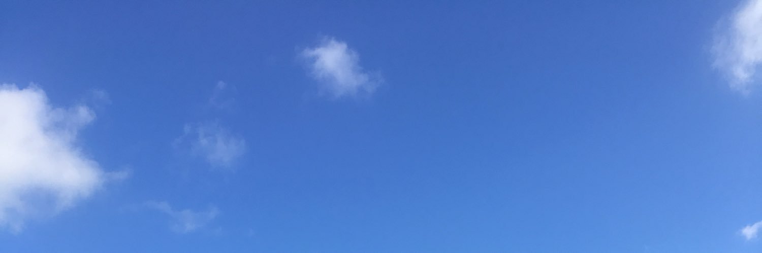 Samchoyspoke's profile banner image