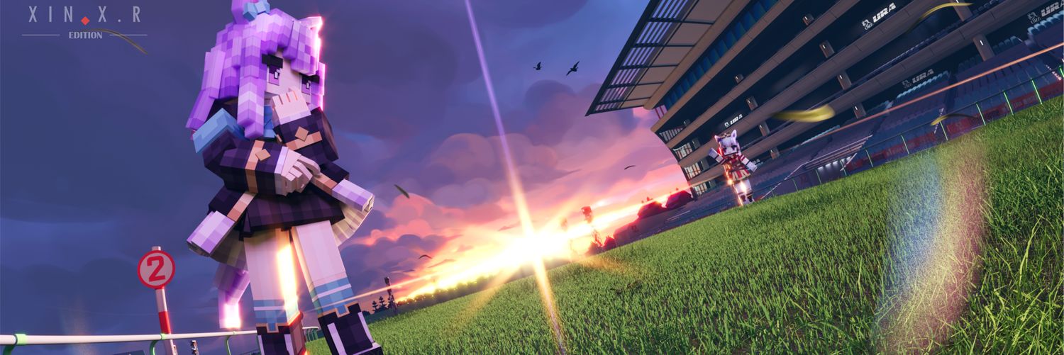Xin.Xr's banner