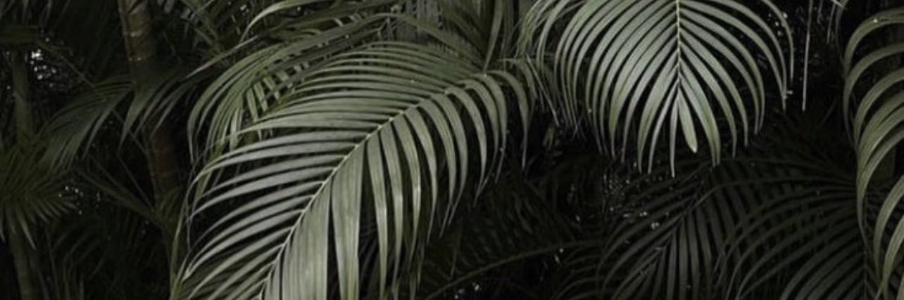 hellotwiggy's profile banner image