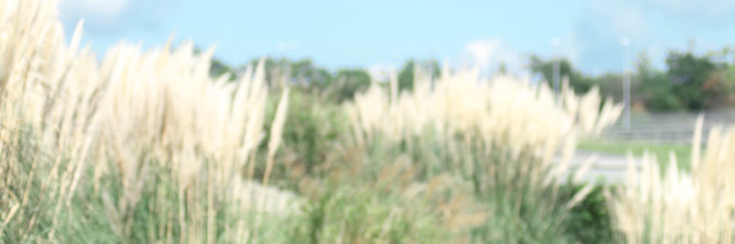 ちろ banner