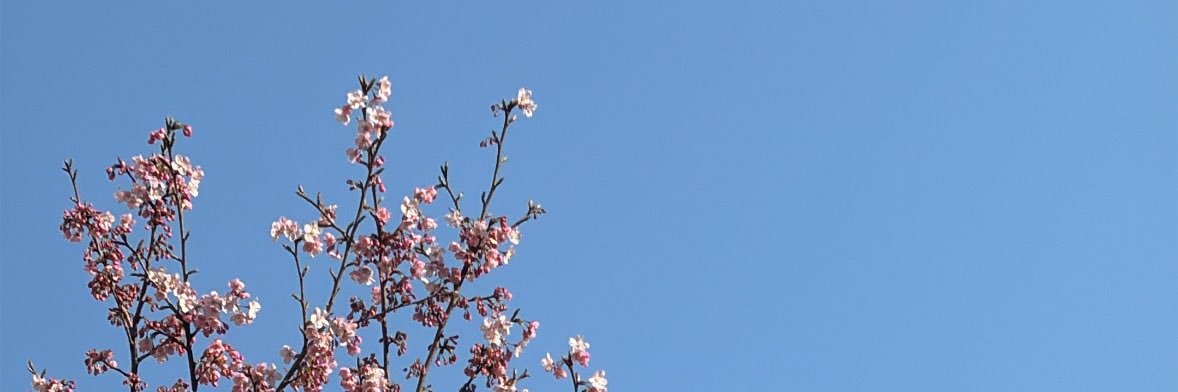 _____pm100's profile banner image