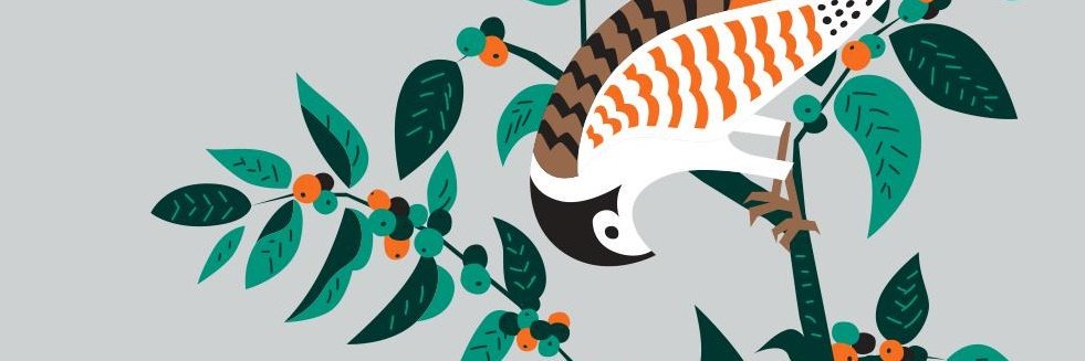 ROCANINI's profile banner image