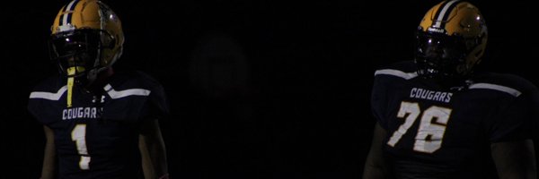 AneeshFalaise64 Profile Banner