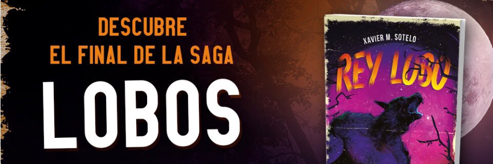 Xavier M. Sotelo banner