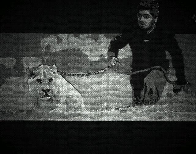 Anish299's profile banner image