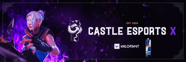 Castle E-sports Profile Banner