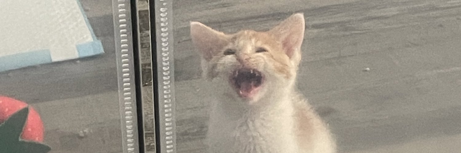 Friends of Bear Cat Rescue's banner