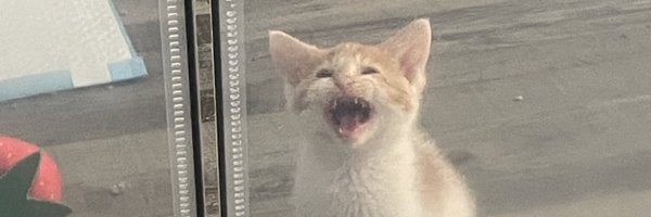 feederofcats Profile Banner