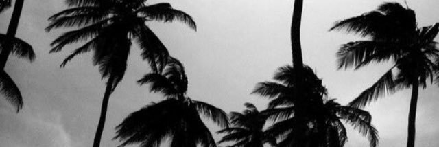 anamarilla52's profile banner image