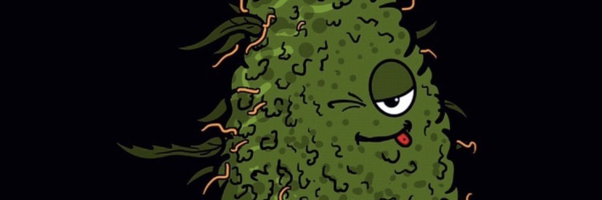 laridesiderio's profile banner image
