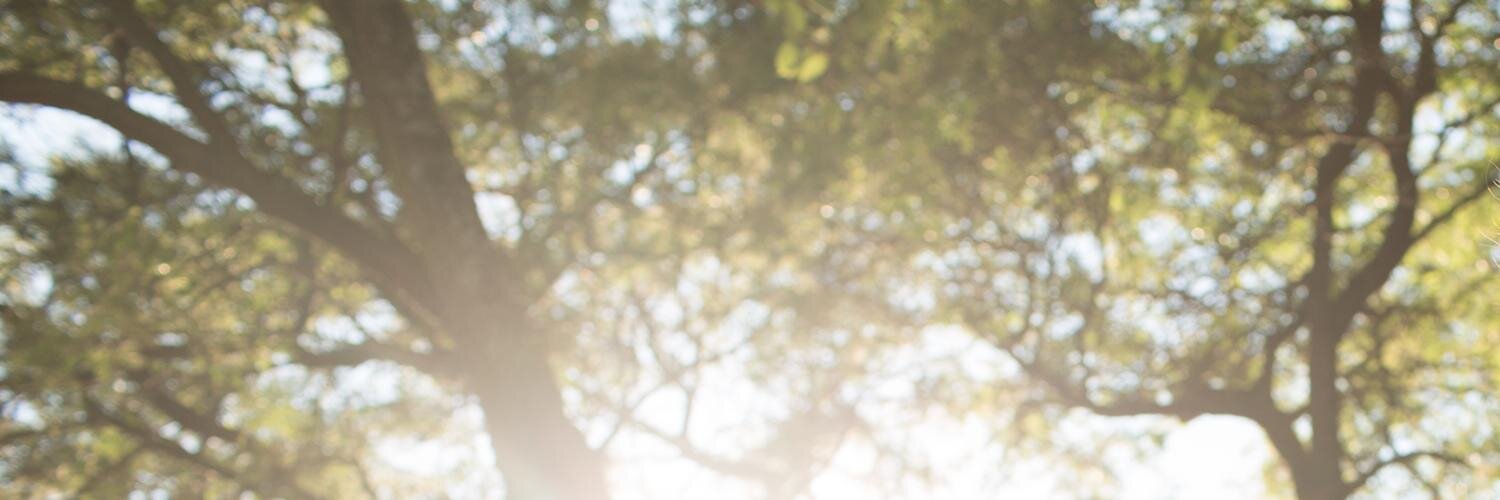 fabricegrover's profile banner image