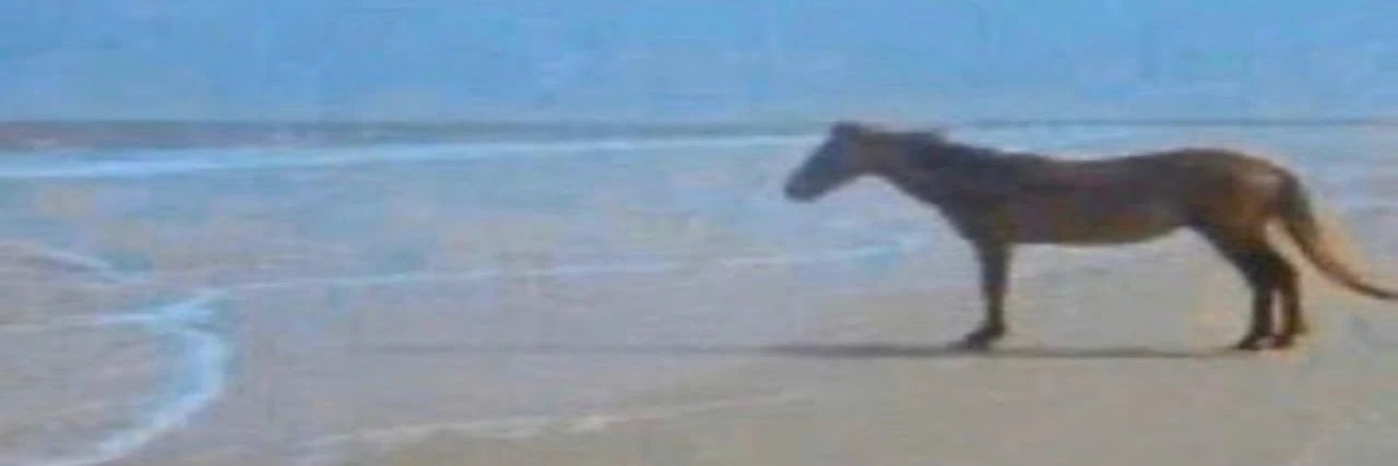 Aleksi Sillanpää banner