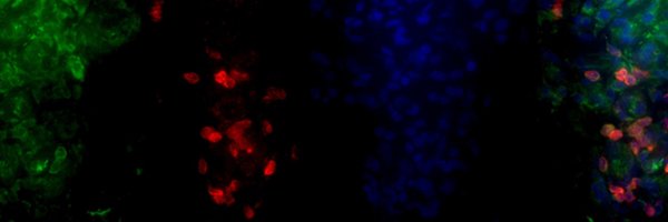 davealeonard Profile Banner