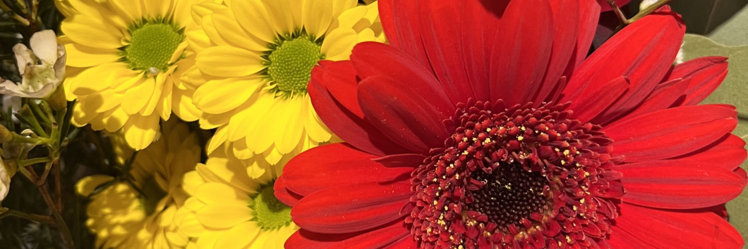 darling061's profile banner image