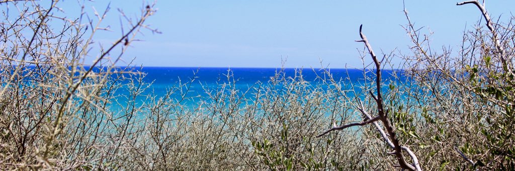 maccaronip's profile banner image