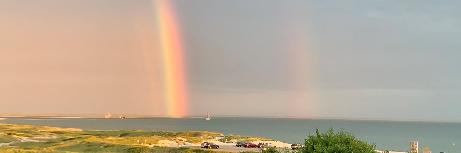 Dr. Sonika Agarwal, MBBS, MD, FAAN, FCNS banner