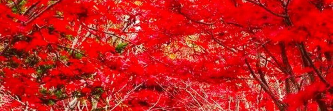 qjackie45's profile banner image